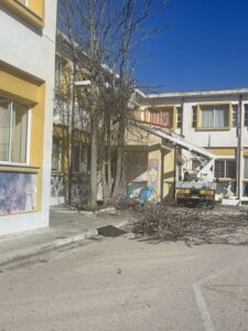 A tree with branches is seen near a building, with a truck parked nearby. The sky is clear and blue.